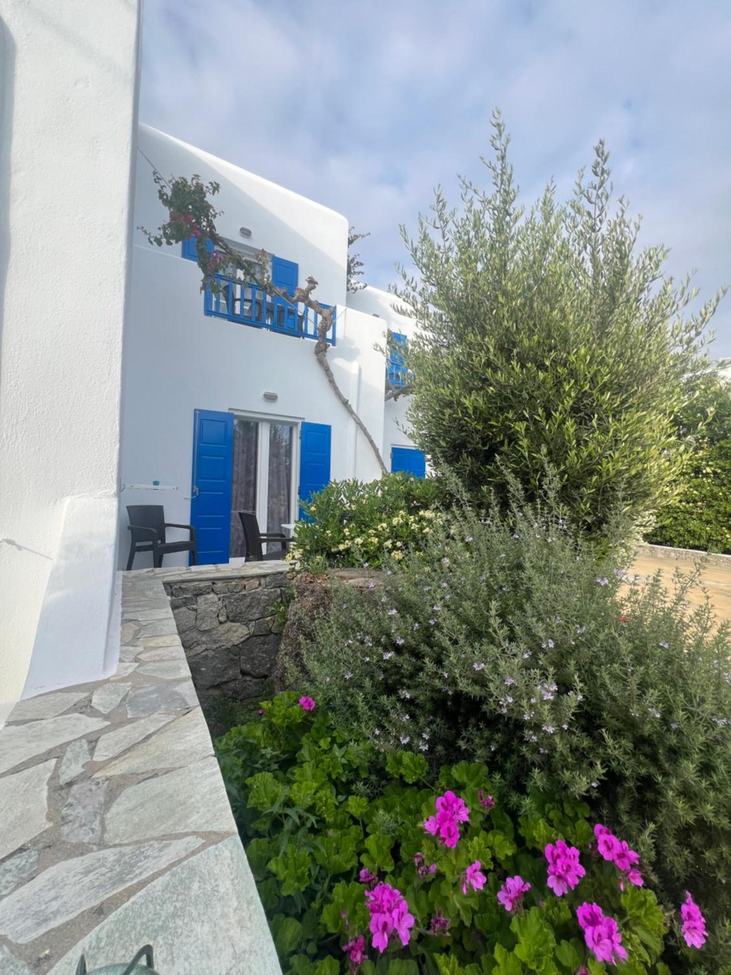 Anemos Apartments Ornos  Exterior foto