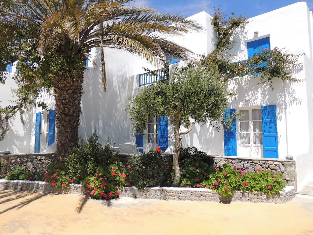 Anemos Apartments Ornos  Exterior foto